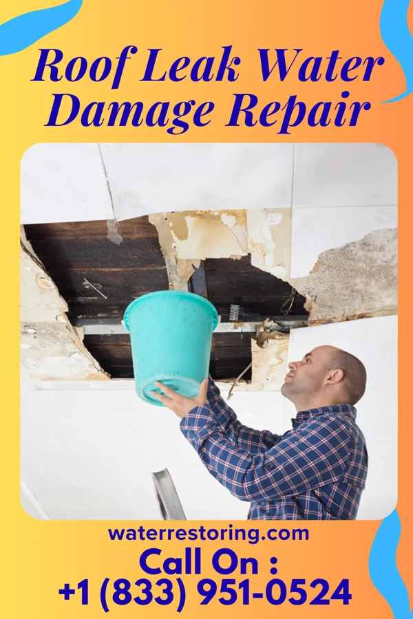 Roof Leak Water Damage Repair in Wentworth, SD